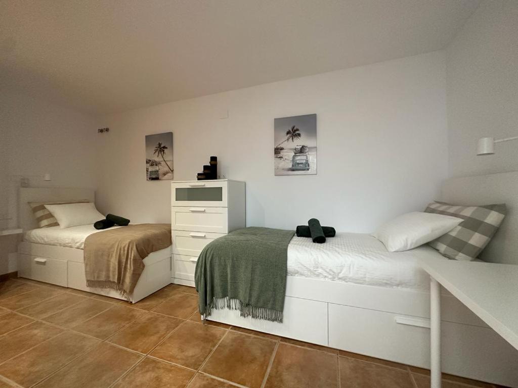 Apartmán Casa Cullerer Amposta Exteriér fotografie